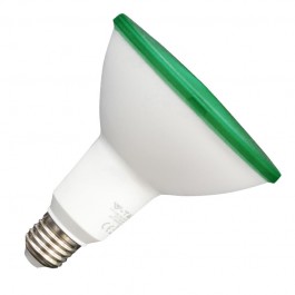 LED Bulb - 17W PAR38 E27 IP65 Green