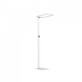 80W LED Floor Lamp Touch Dimming Up/Down White  4000K