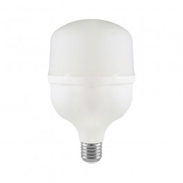 LED Bulb - 60W Plastic T160 6500K
